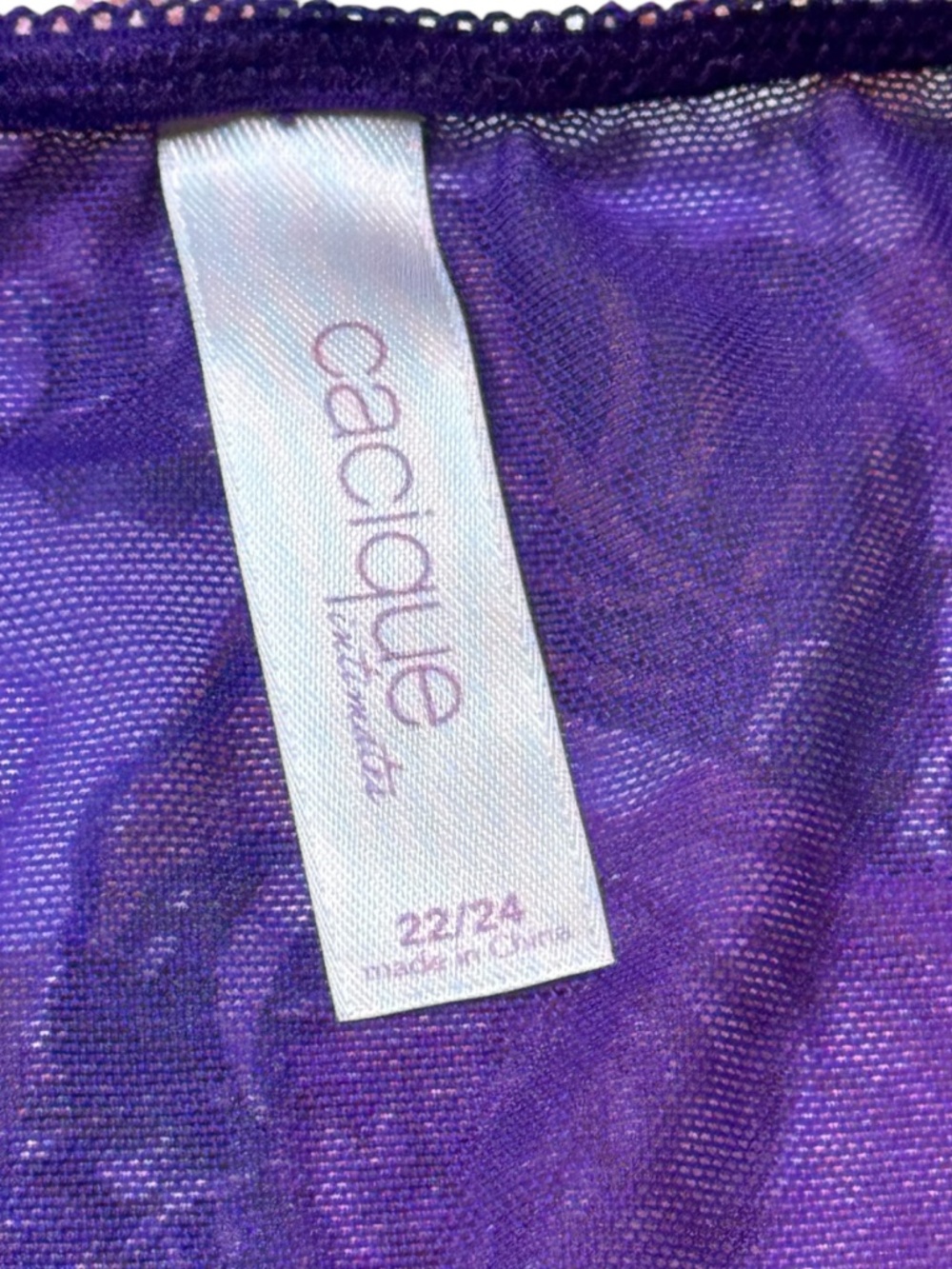 CACIQUE Intimates Purple Lace Bikini Panty with Teal Floral Stitching - Picture 9 of 16